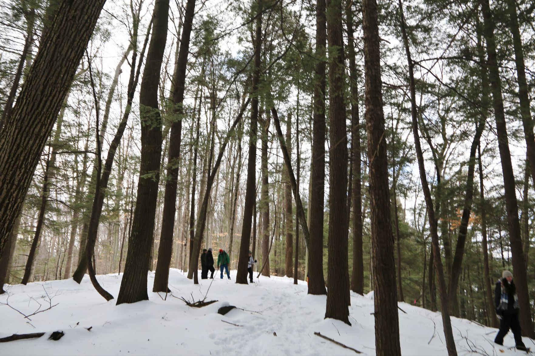 Hike to Dome Island